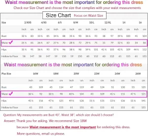 Lace Appliques Mother of The Bride Dresses for Women with Long Sleeves Train Chiffon Prom Dress