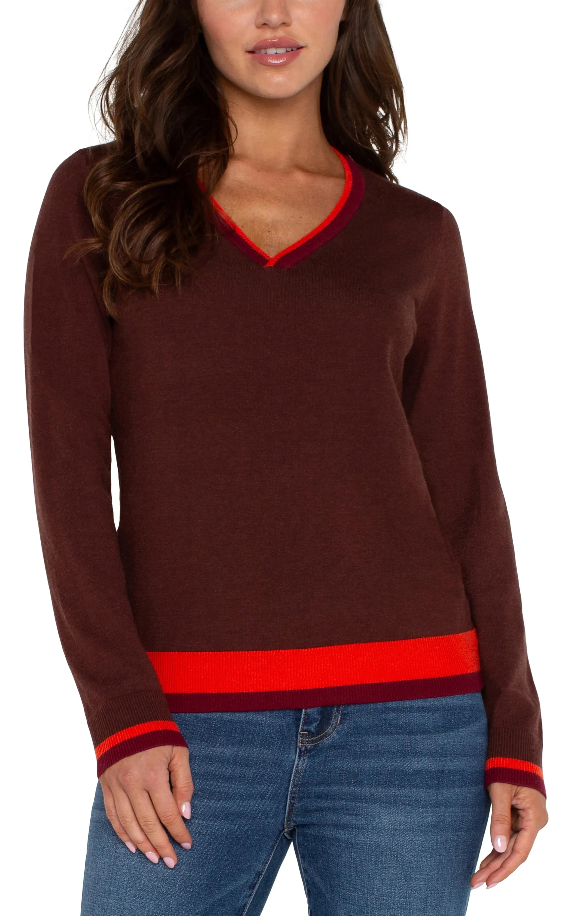 Lilou Long Sleeve Colorblock Sweater in Retro Brown Multi - Liverpool Los Angeles LM8D54SK29